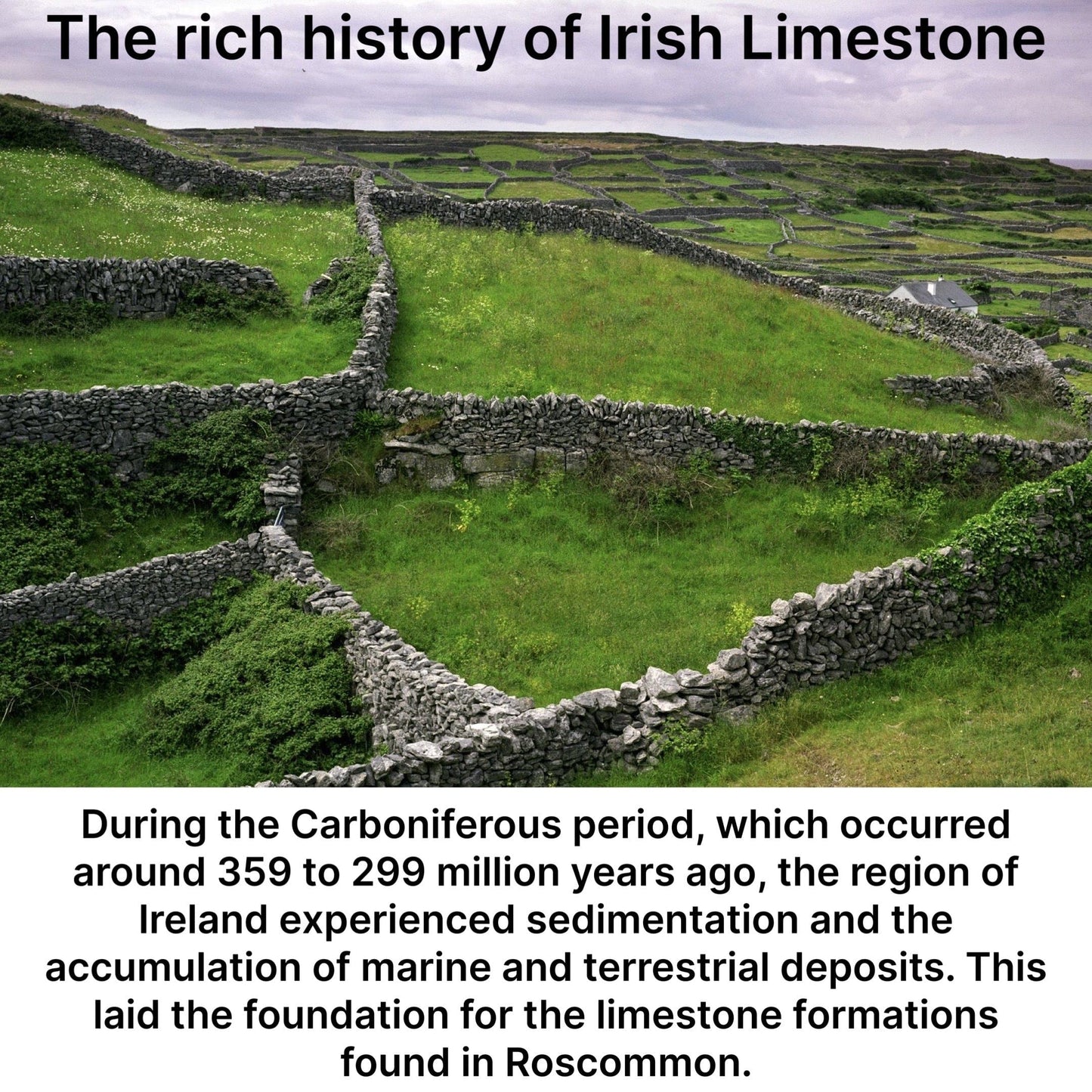 Authentic Irish Creative Gift